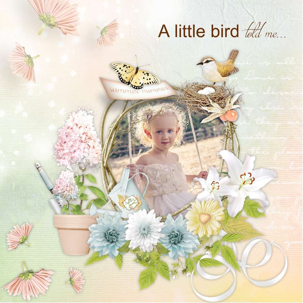 Un petit oiseau dans le jardin