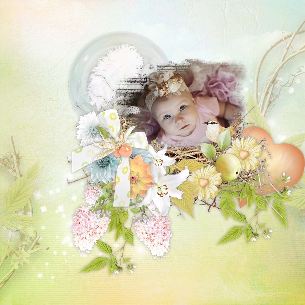 Un petit oiseau dans le jardin