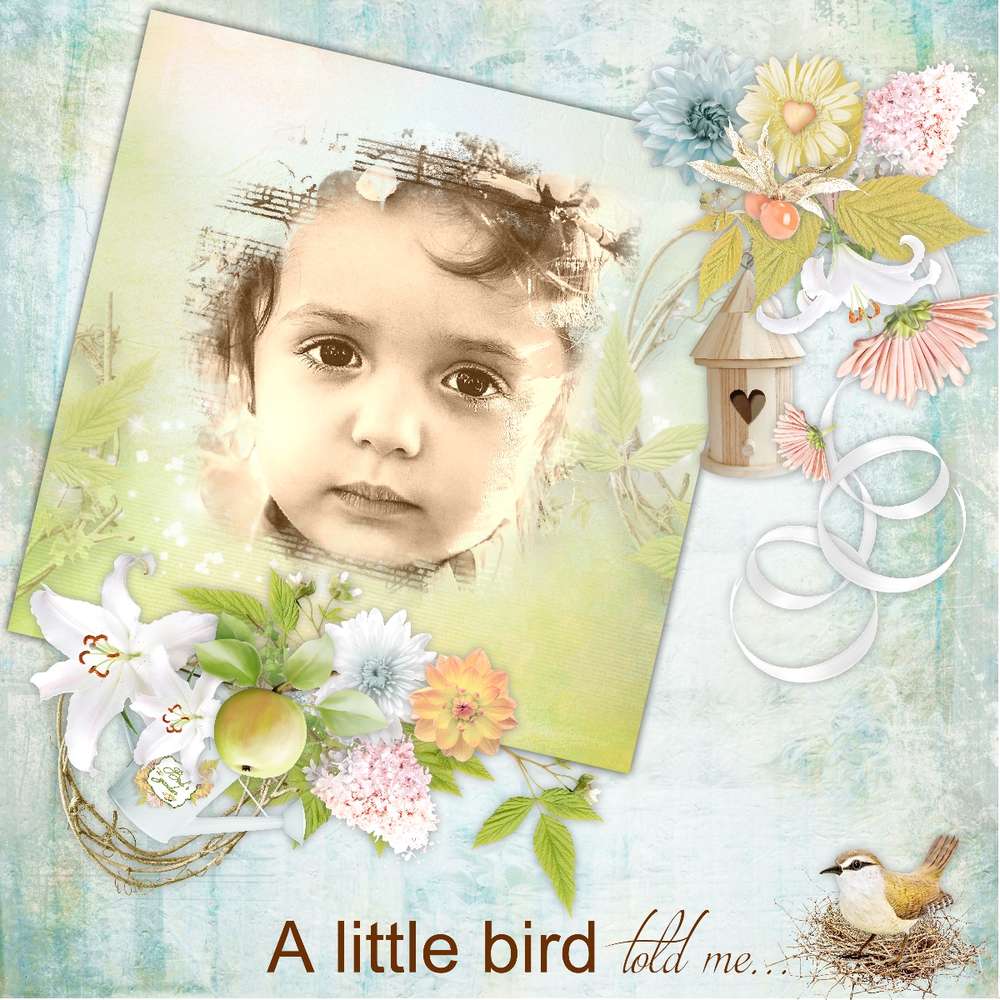 Un petit oiseau dans le jardin