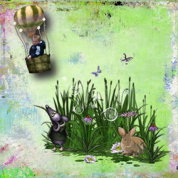 un petit tour en montgolfière