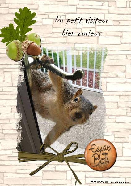 Un petit visiteur bien curieux .....
