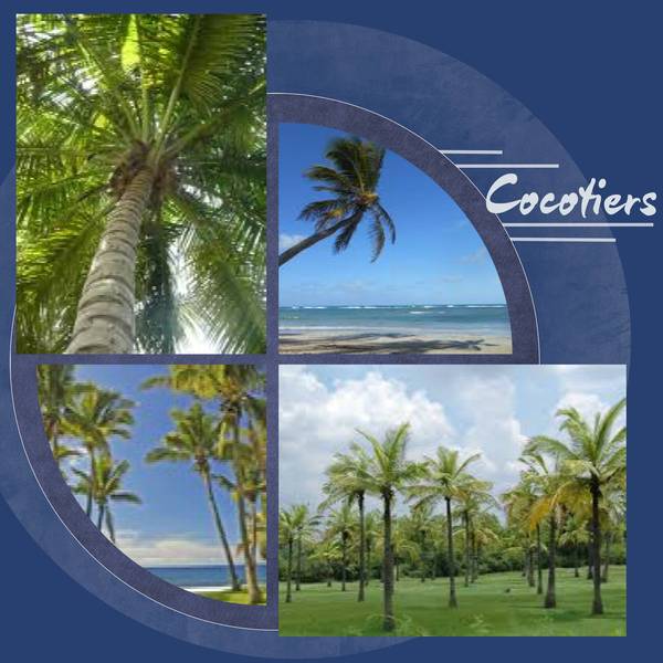 Un peu de chaleur avant d'affronter le froid de la rue ?