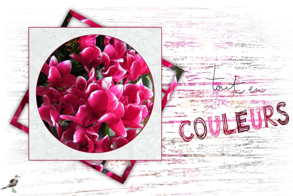 un peu de couleurs...