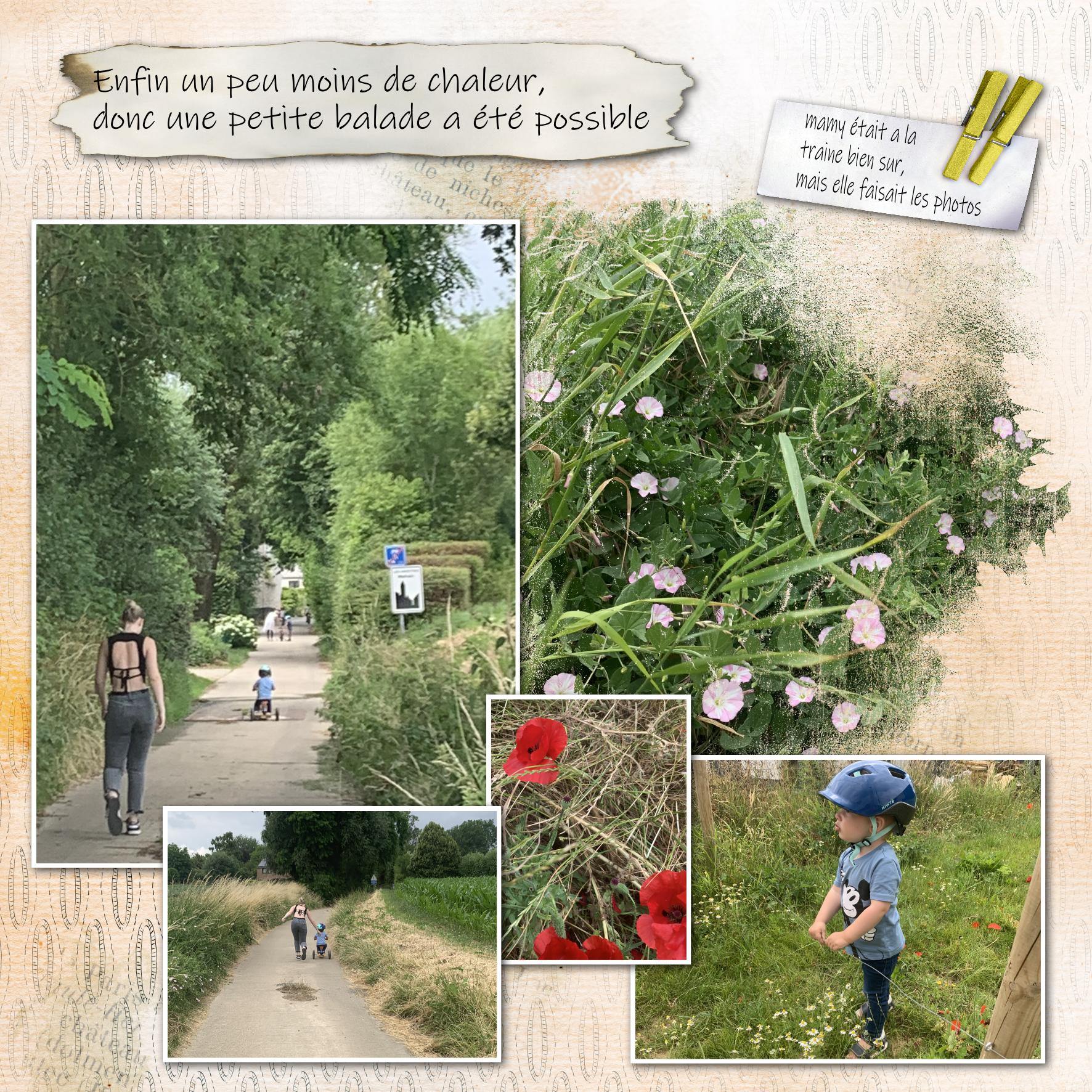 un peu de fraicheur.jpg