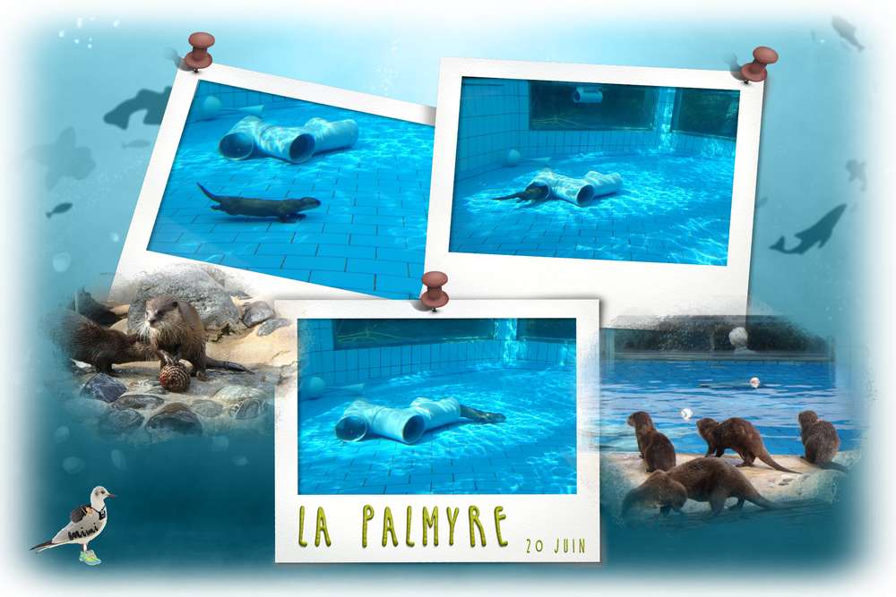 un peu de fraîcheur