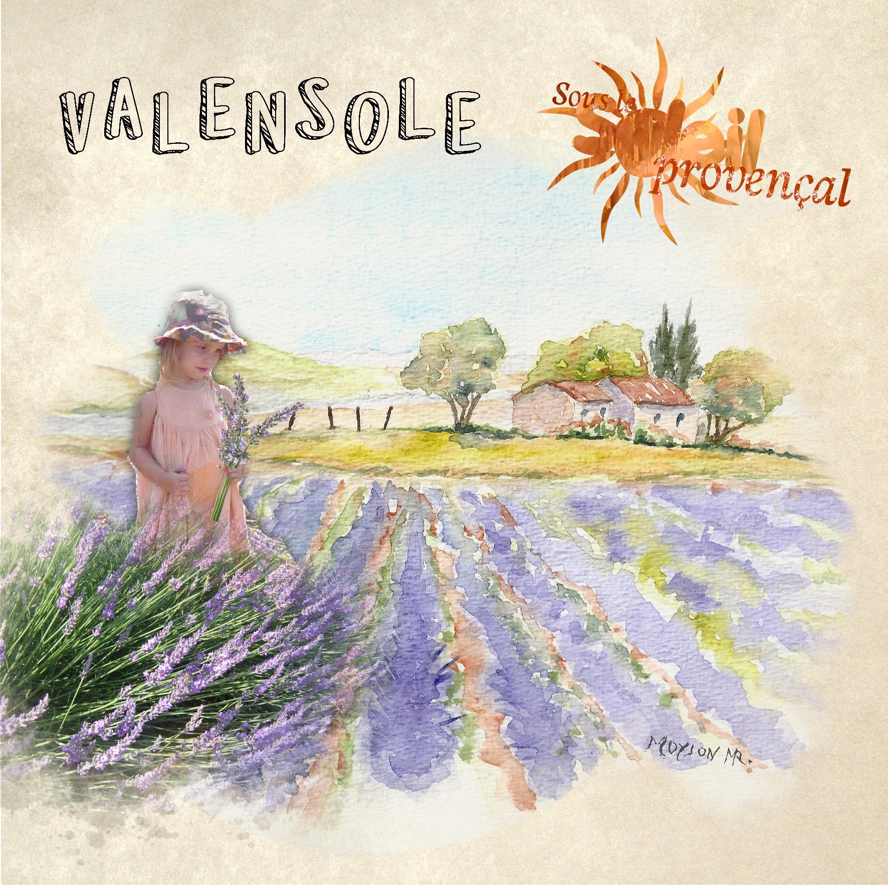 un peu de provence.jpg