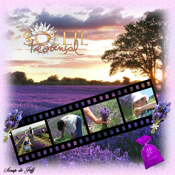 Un peu de soleil dans cette grisaille