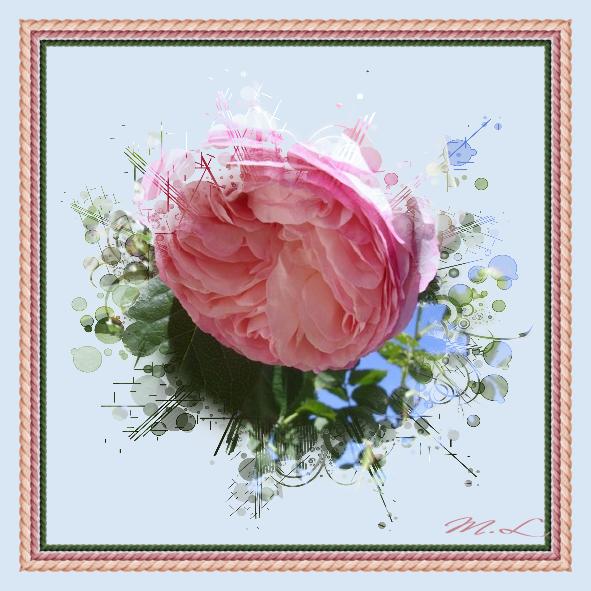 Un peu moins casse tête ....rien qu'une rose ...