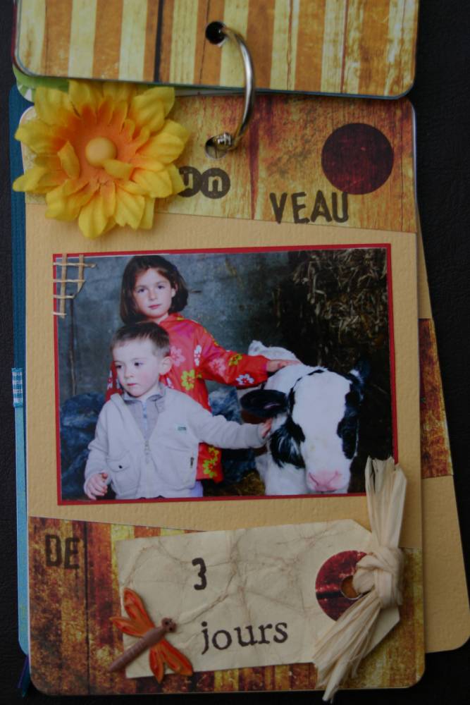 un p'tit tour à la ferme 6