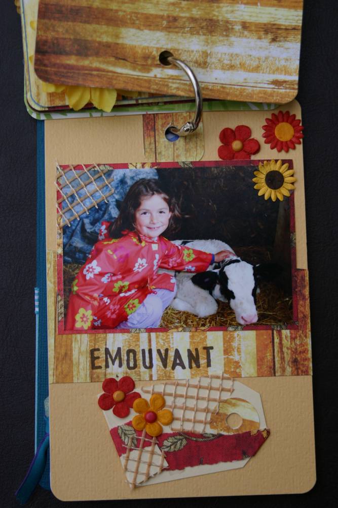 un p'tit tour à la ferme 7