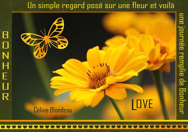 UN SIMPLE REGARD