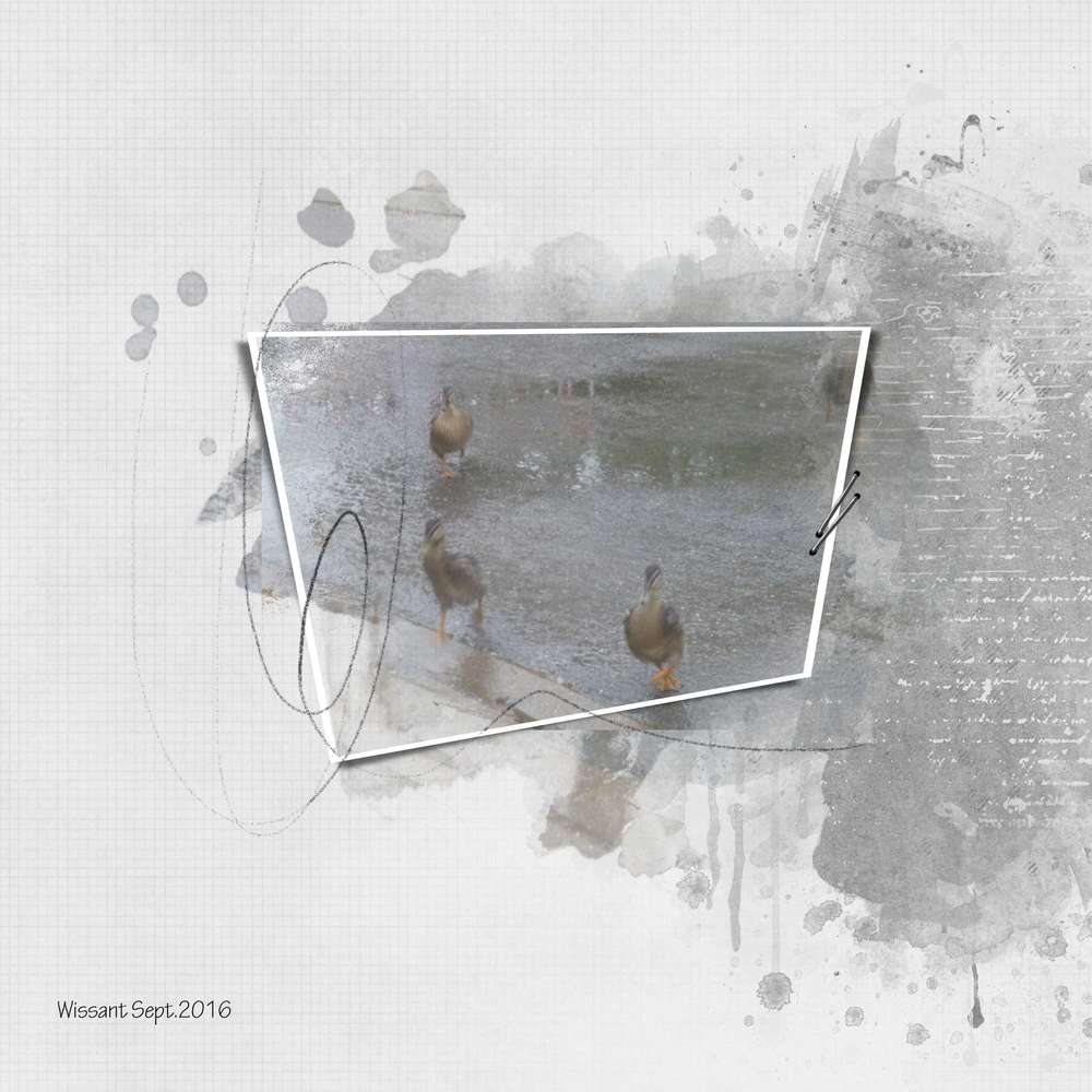 Un temps de canard !