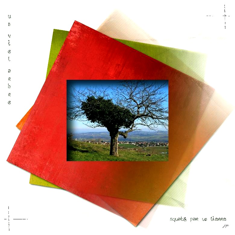 un vieil arbre squatté par un lierre au  fond  les alpes.jpg