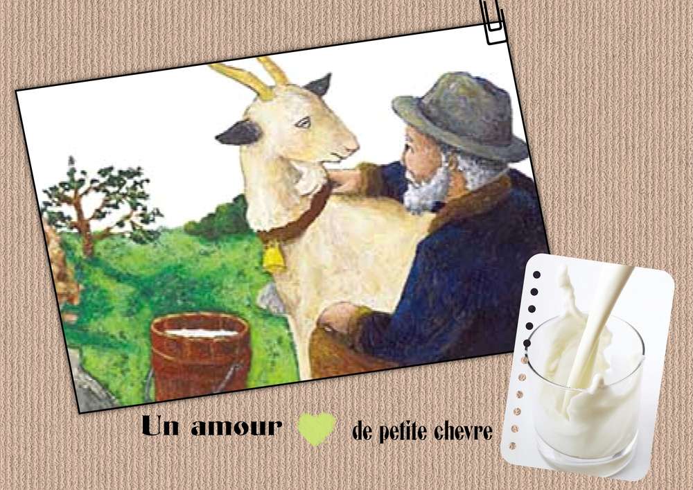 un_amour_de_petite_chevre