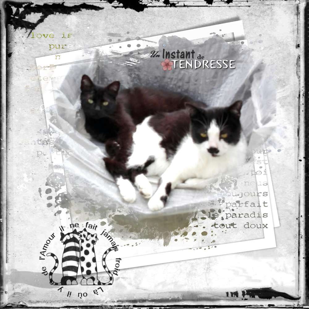 Un_instant_de_tendresse