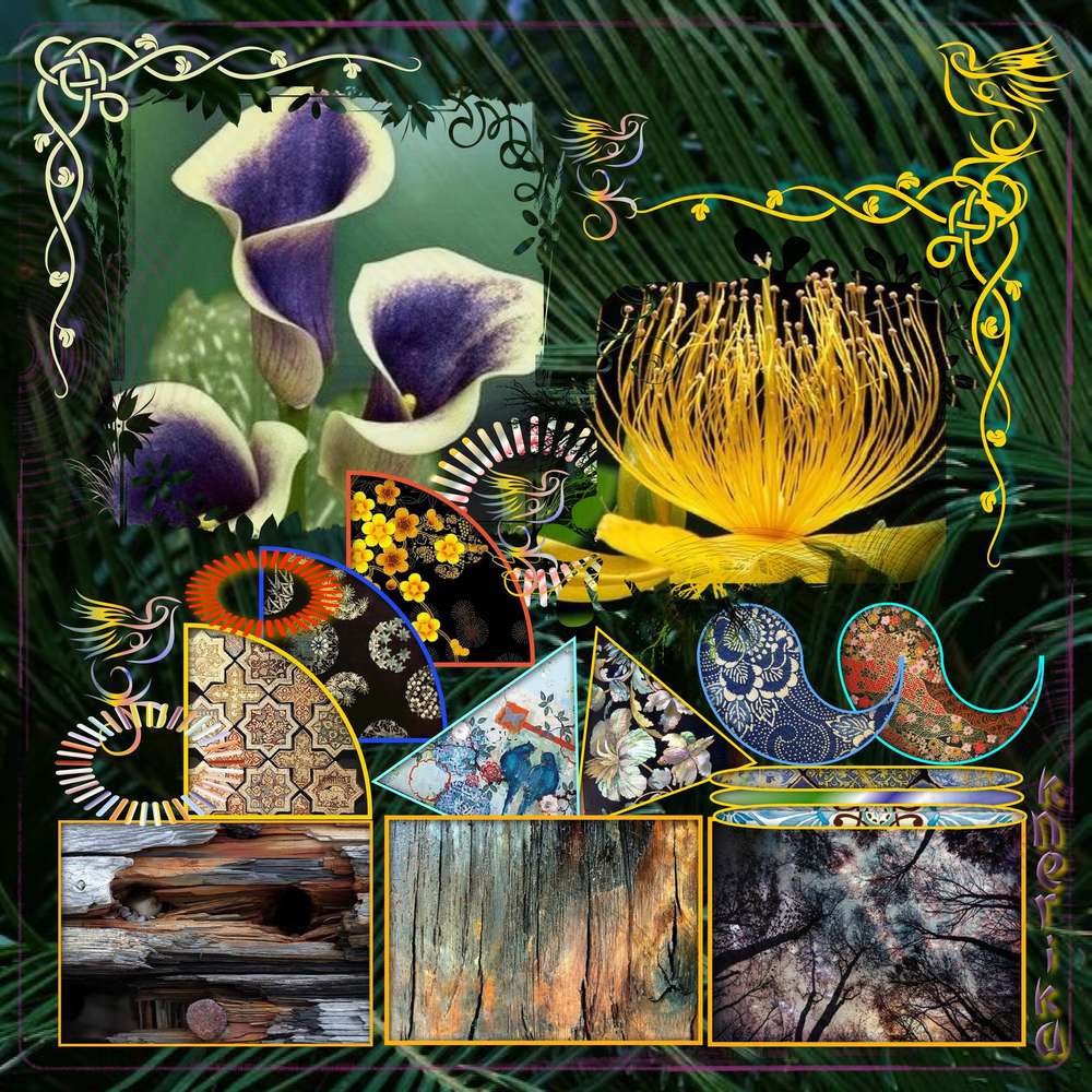 un_p__le_m__le_nature