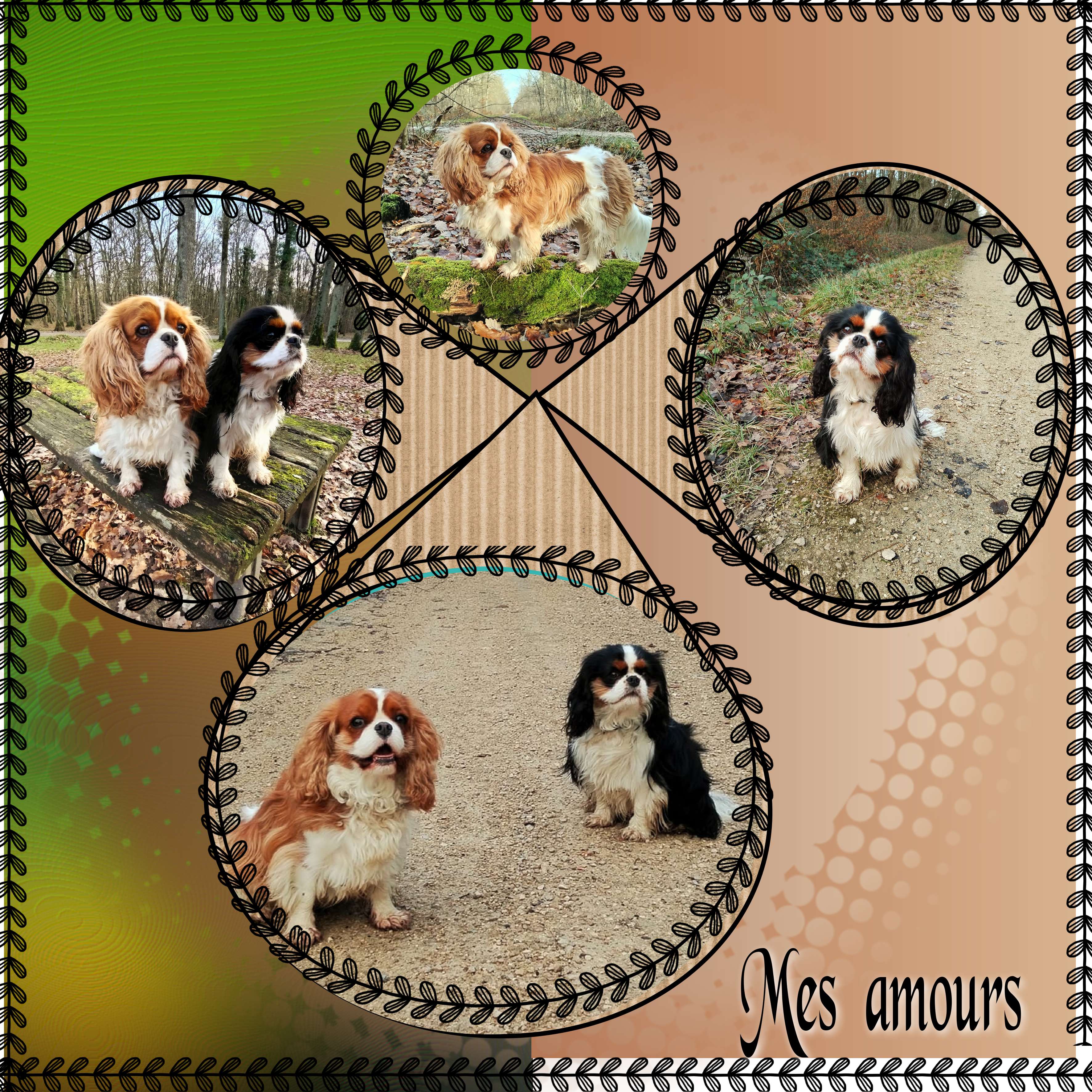 une  autre  promenade.jpg