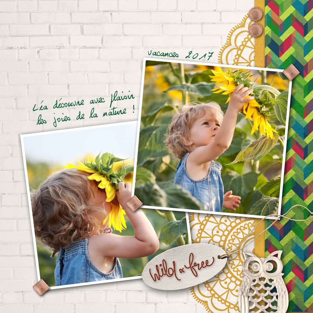 Une composition de Yann pour Urban Jungle