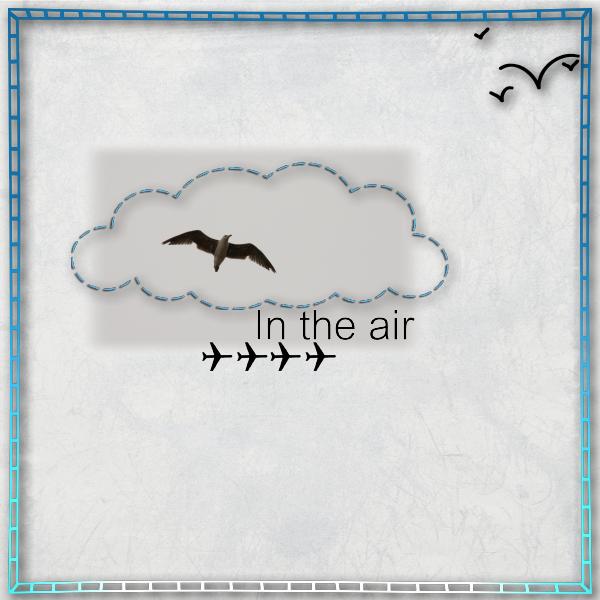 Une dernière mouette pour la route...