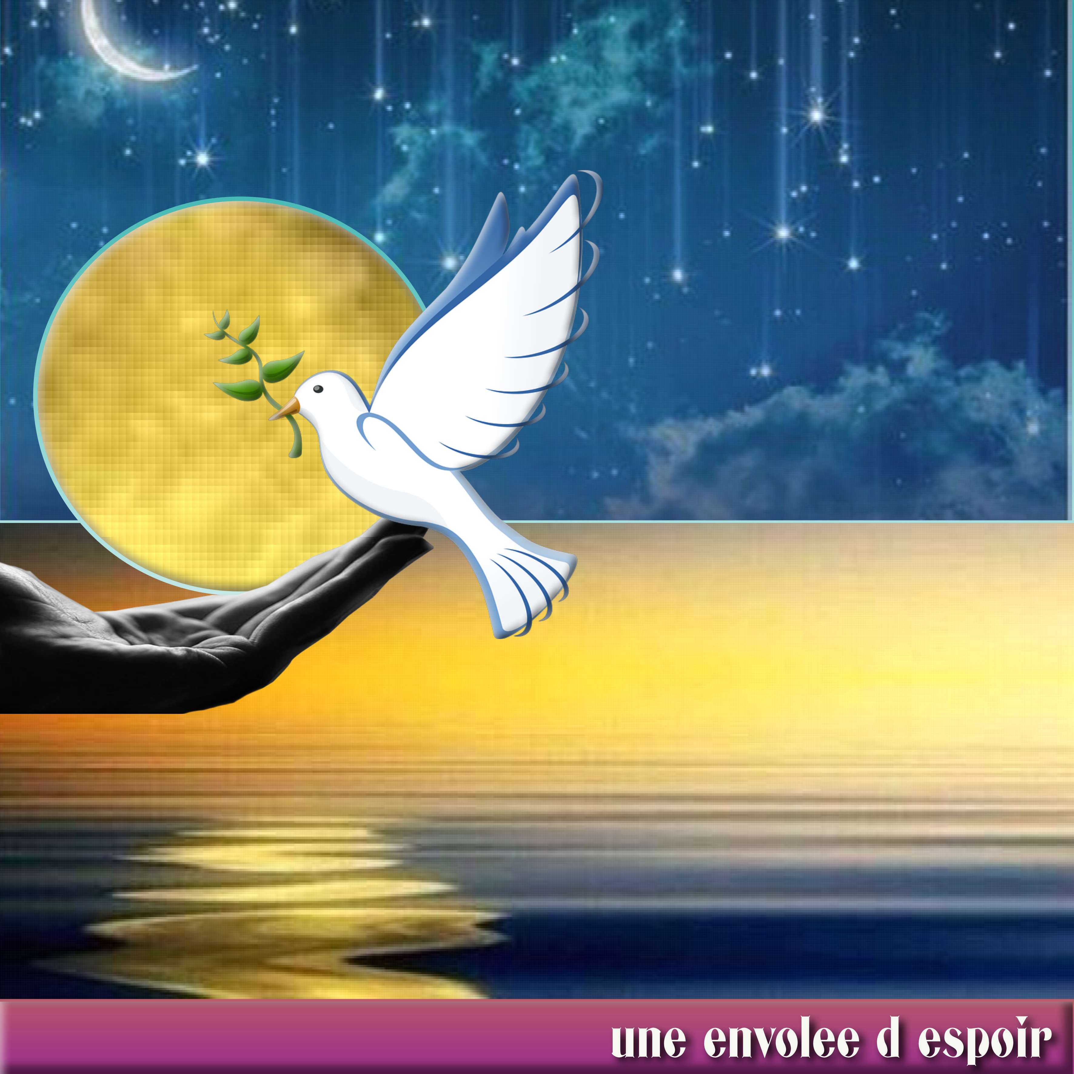 une envolee d espoir.jpg