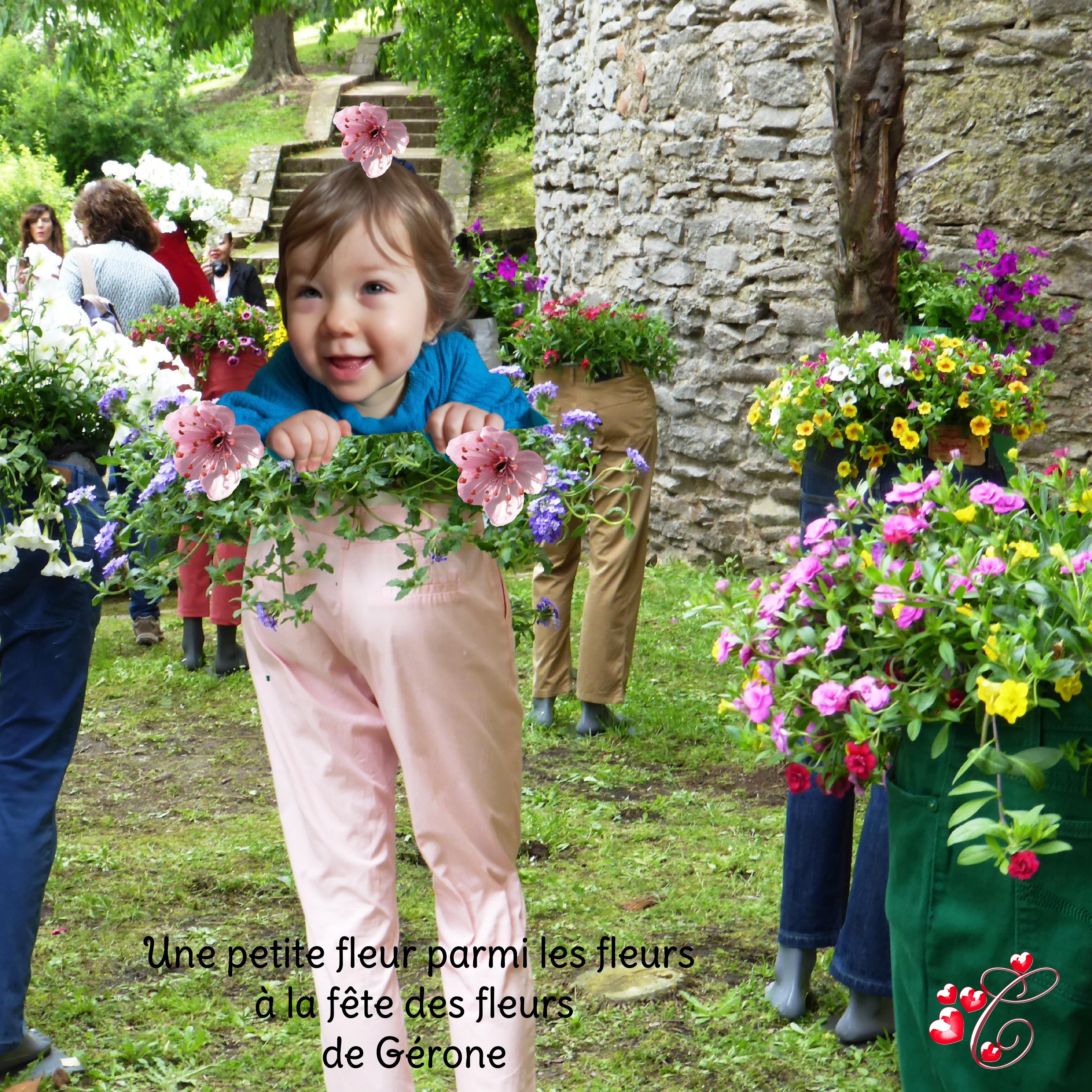 une fleur parmi les fleurs à Gérone