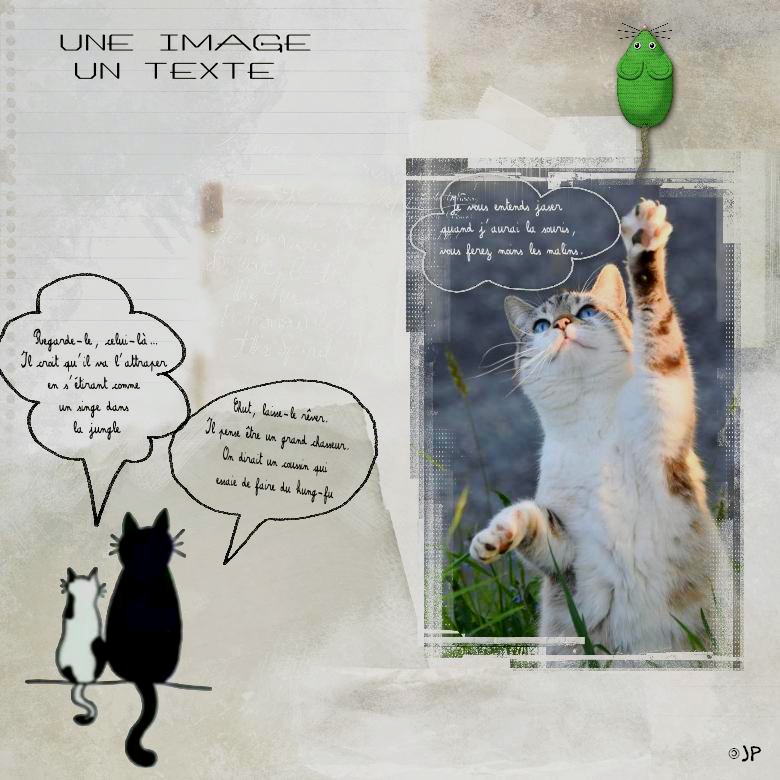 une image un texte  dialogues de chats.jpg