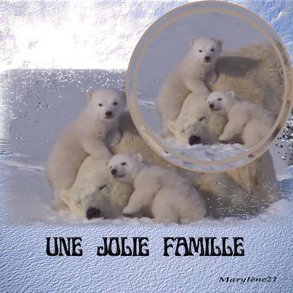UNE JOLIE FAMILLE