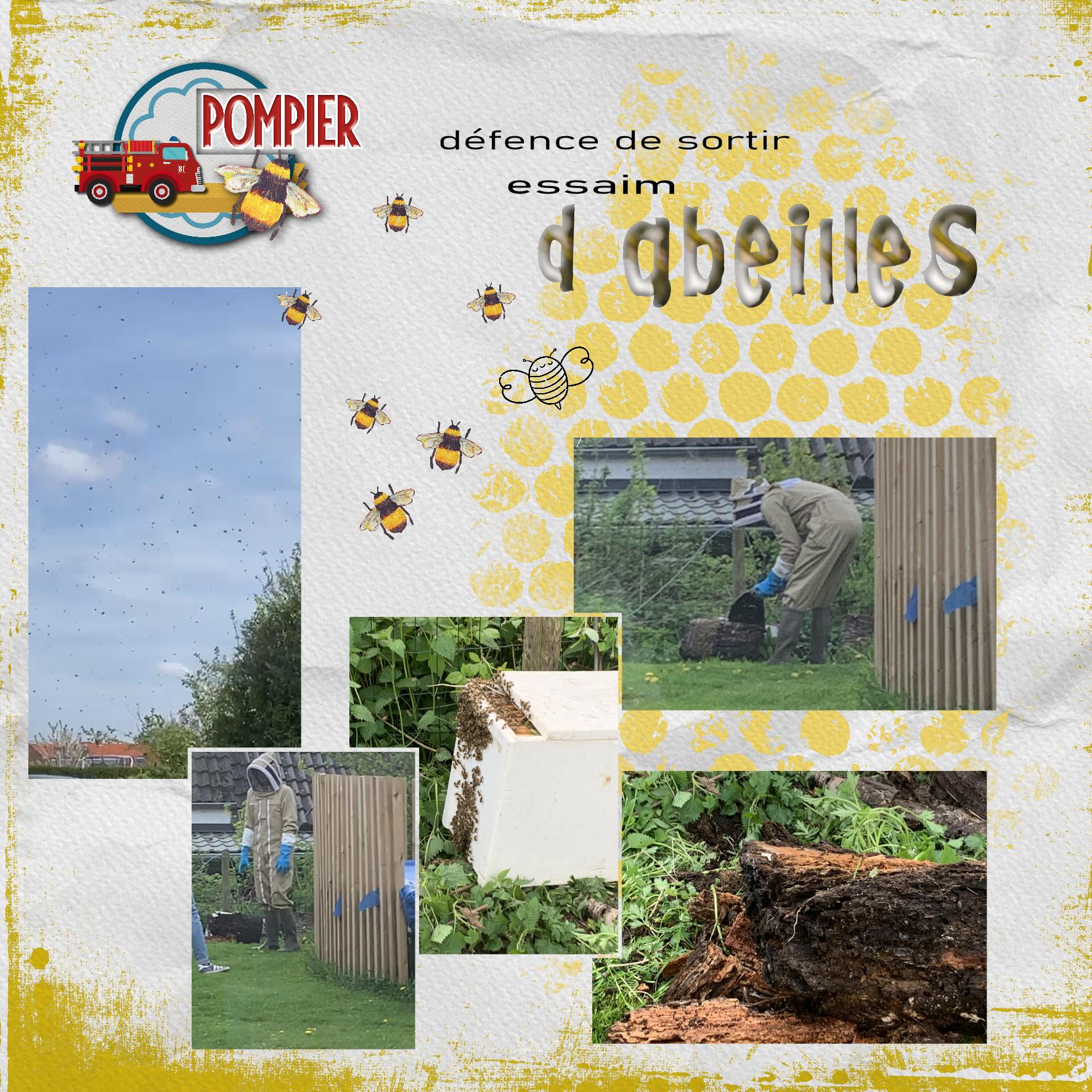 Une journée mouvementée