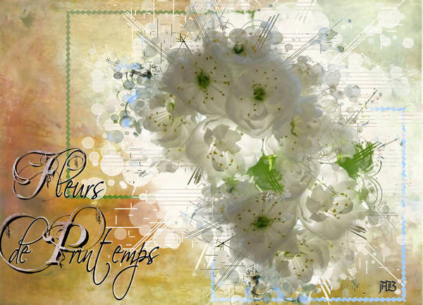 Une lumière de printemps !