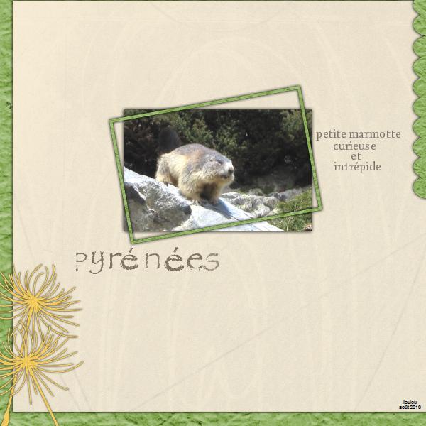 une marmotte très curieuse