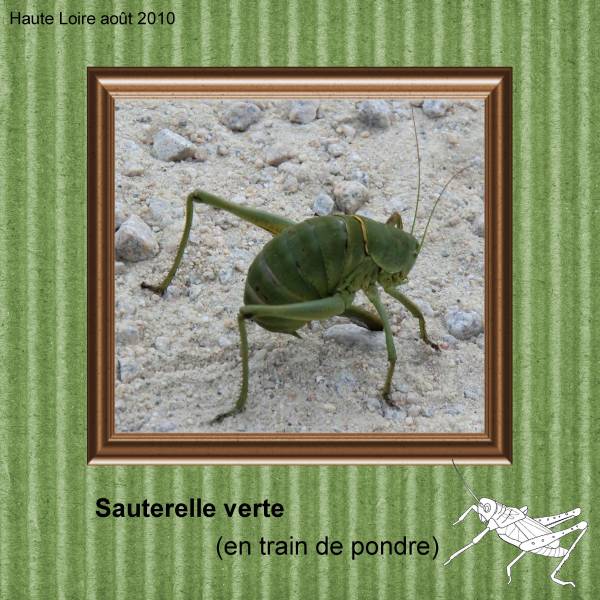 une opportunité photographique rare