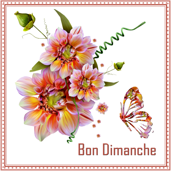 UNE PENSEE - BON DIMANCHE