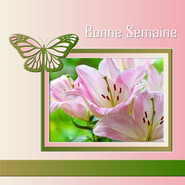 UNE PENSEE - BONNE SEMAINE
