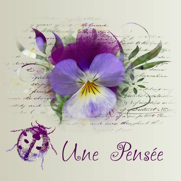 UNE PENSEE - DE TOUT COEUR AVEC TOI MELODIE