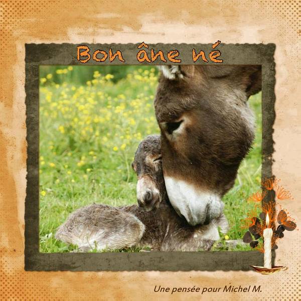 Une pensee pour Michel M.