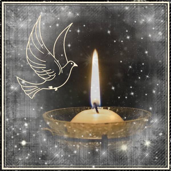 UNE PENSEE POUR TOUTES LES VICTIMES DE LA ROUTE ET POUR LEURS FAMILLES