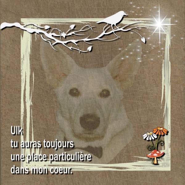 Une pensée pour Ulk