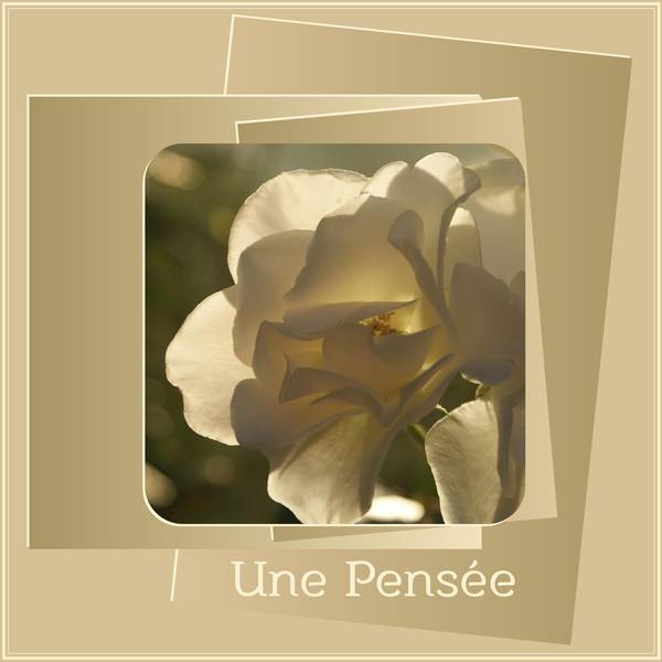 UNE PENSEE