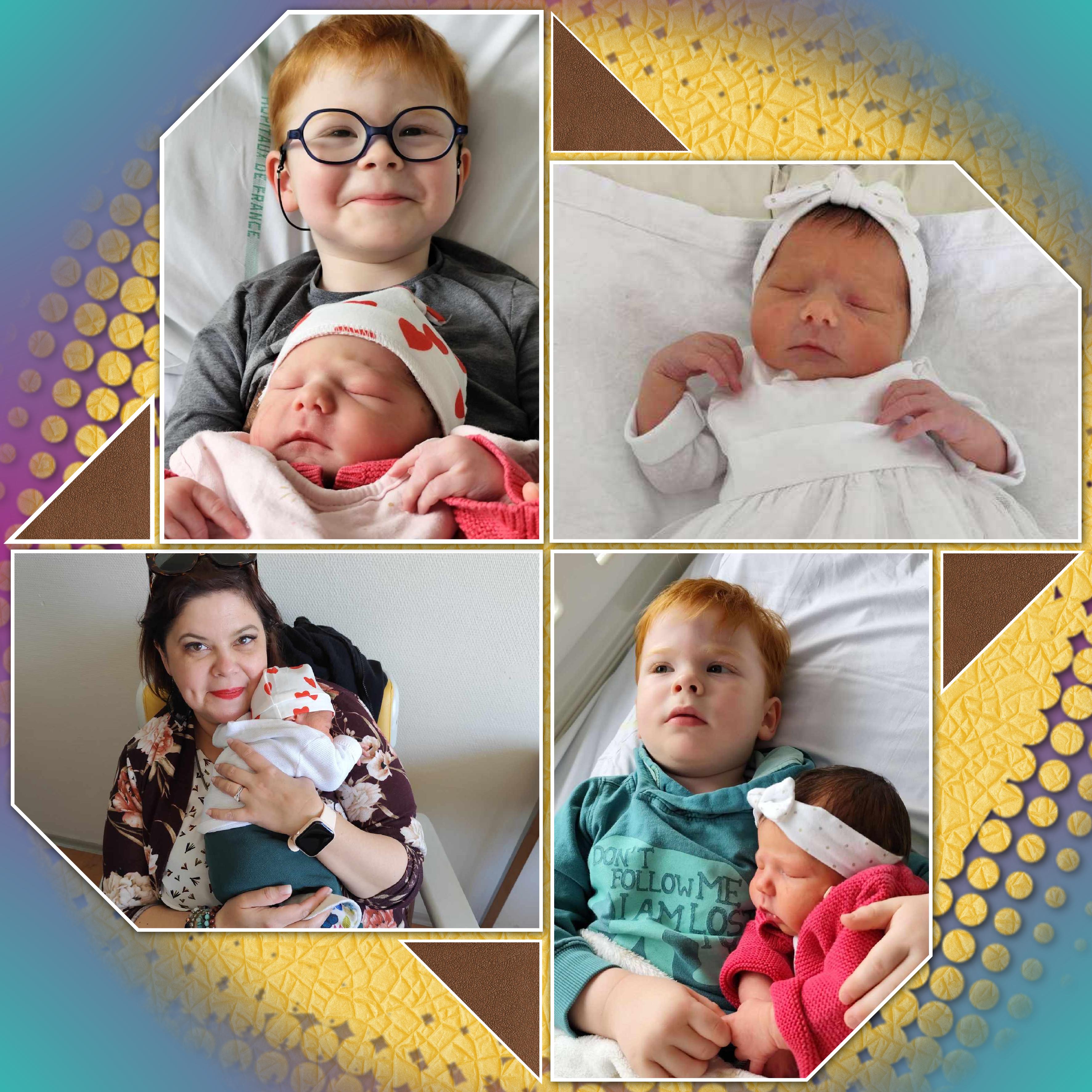 une  petite famille.jpg