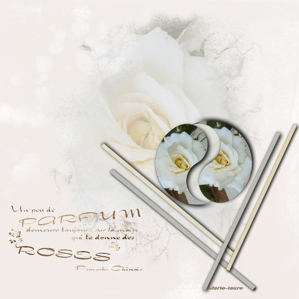 Une rose  thé --Pierre de Ronsard--