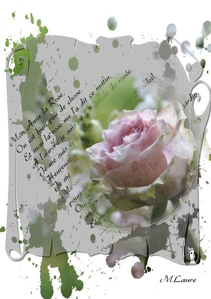 Une rose .....
