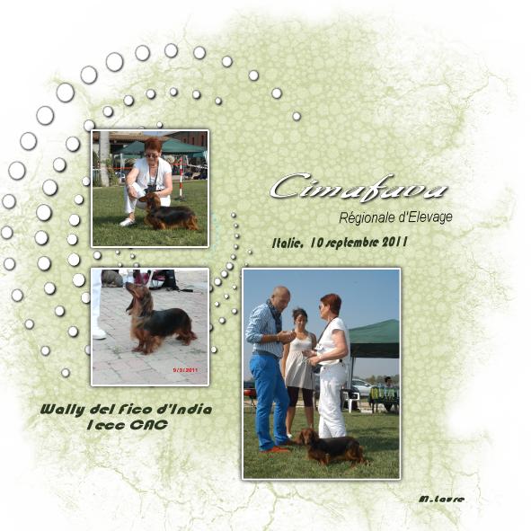 Une très sympa journée d'exposition canine en Italie