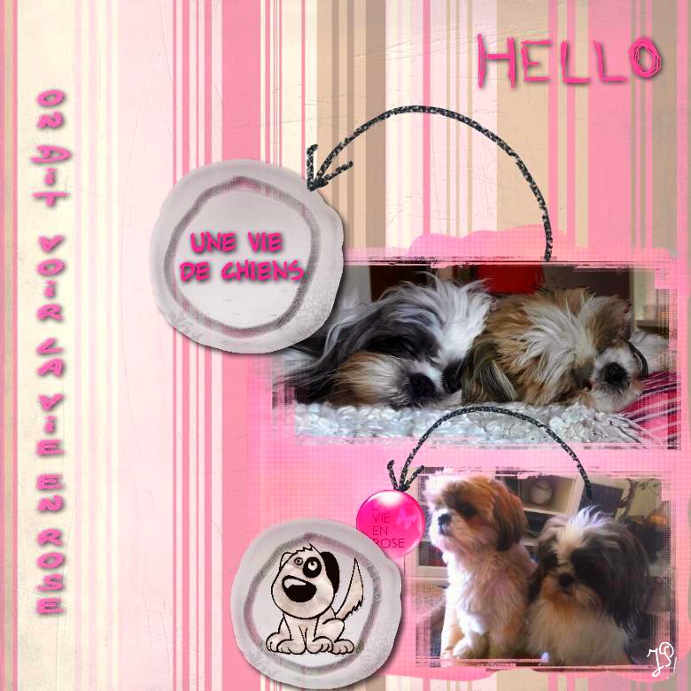 une vie de chien voir la vie en rose.jpg