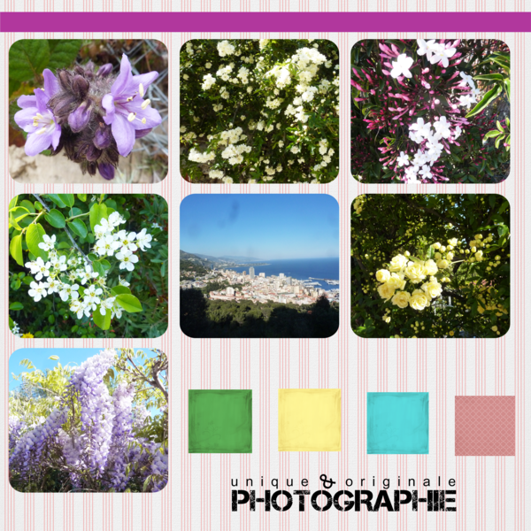 unique_et_originale_photographie