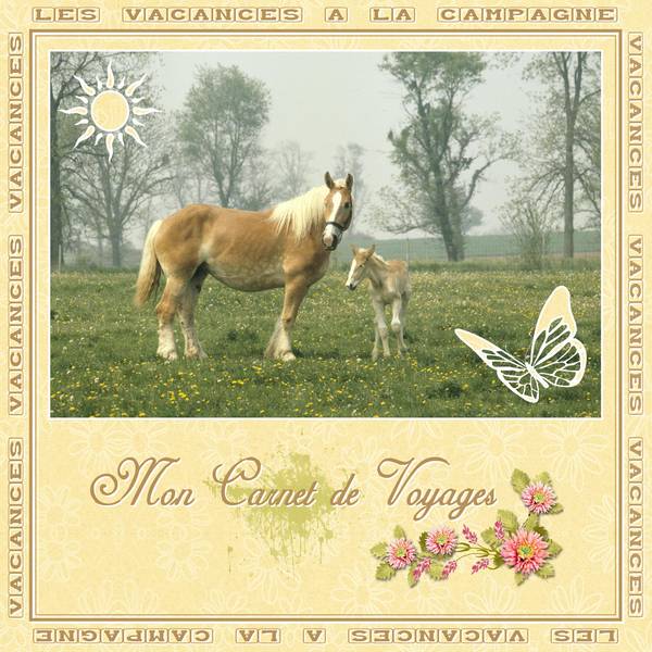 VACANCES à LA CAMPAGNE