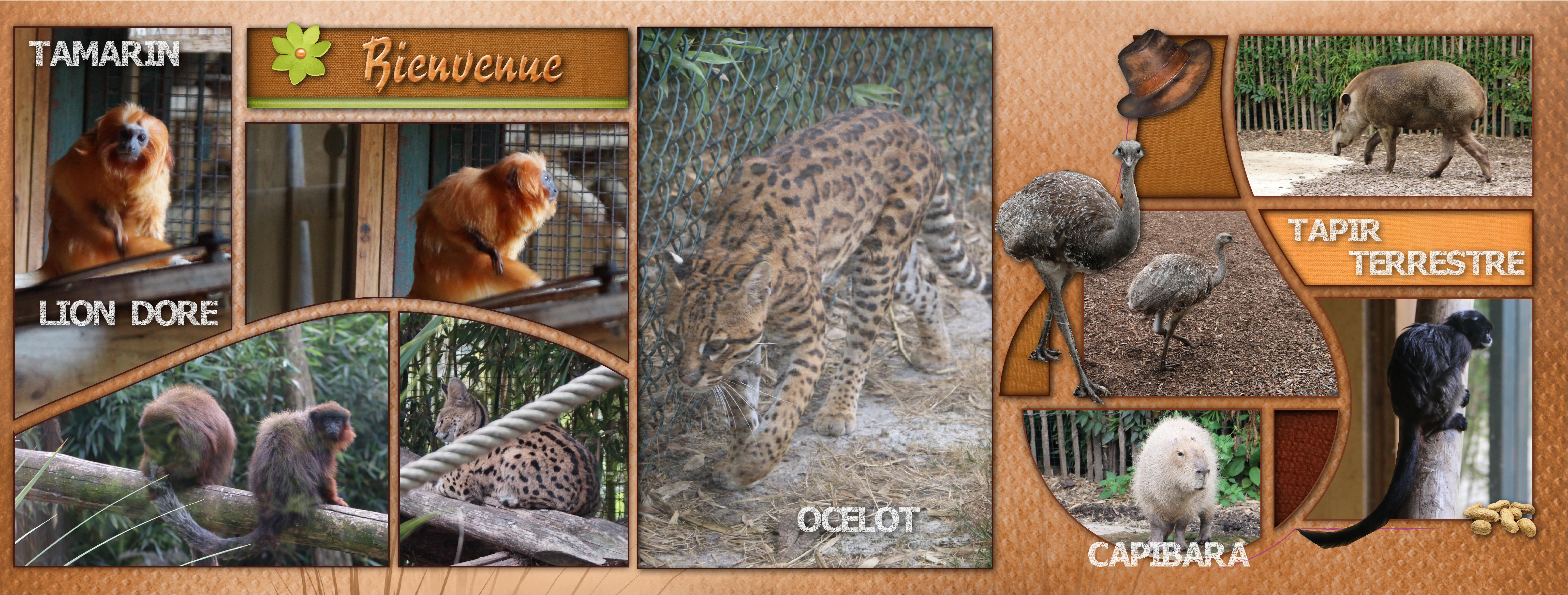 Vacances ARCACHON 2023 (page 23).jpg