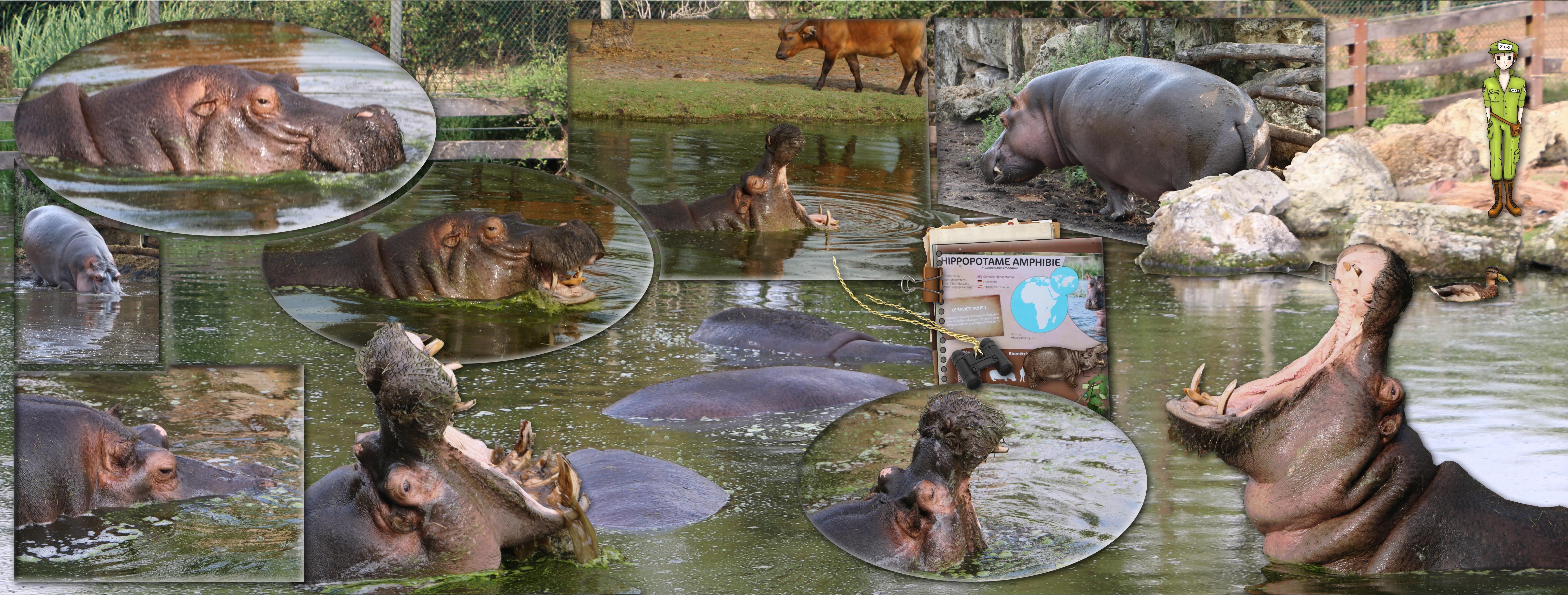 Vacances ARCACHON 2023 (page 29).jpg