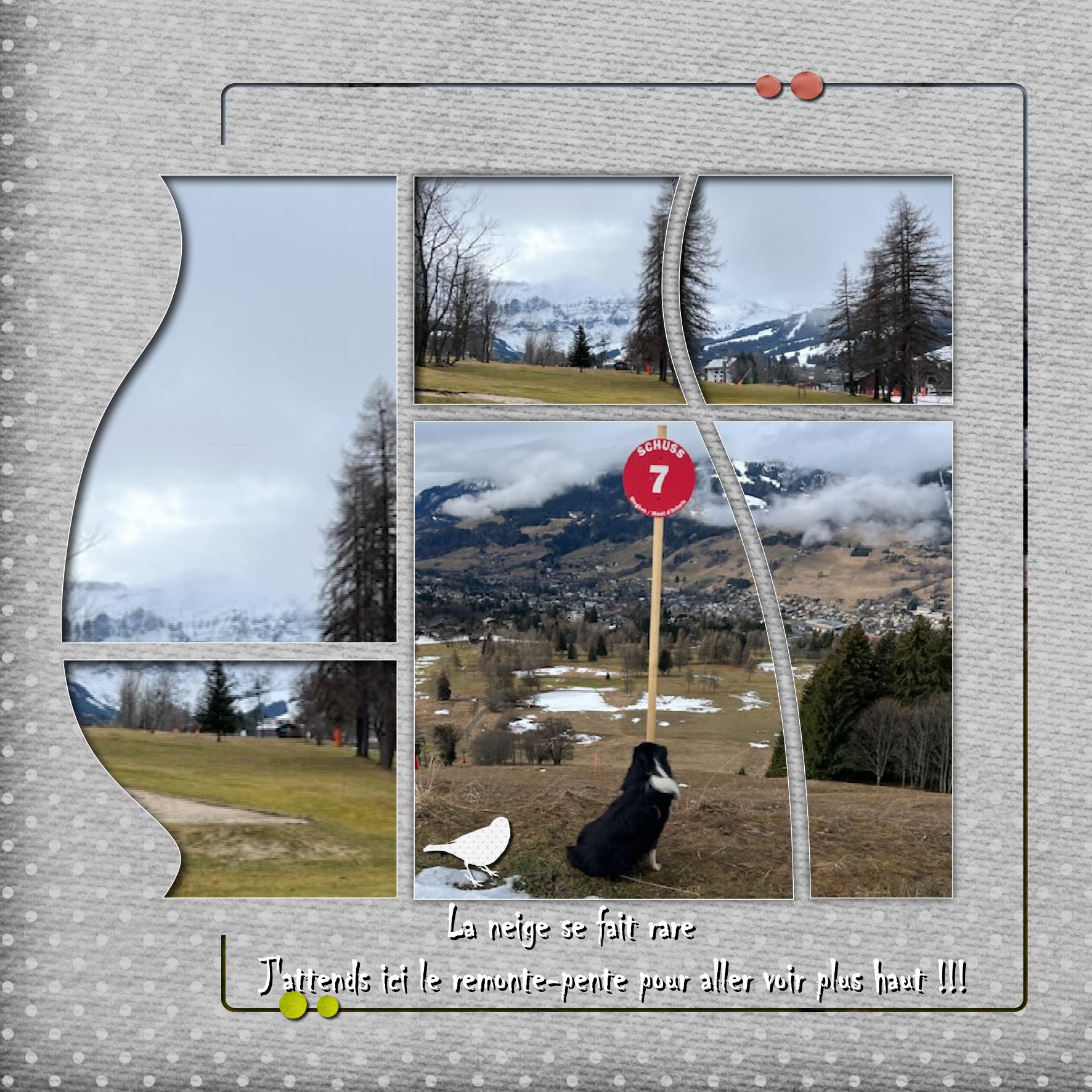 Vacances de neige.jpg