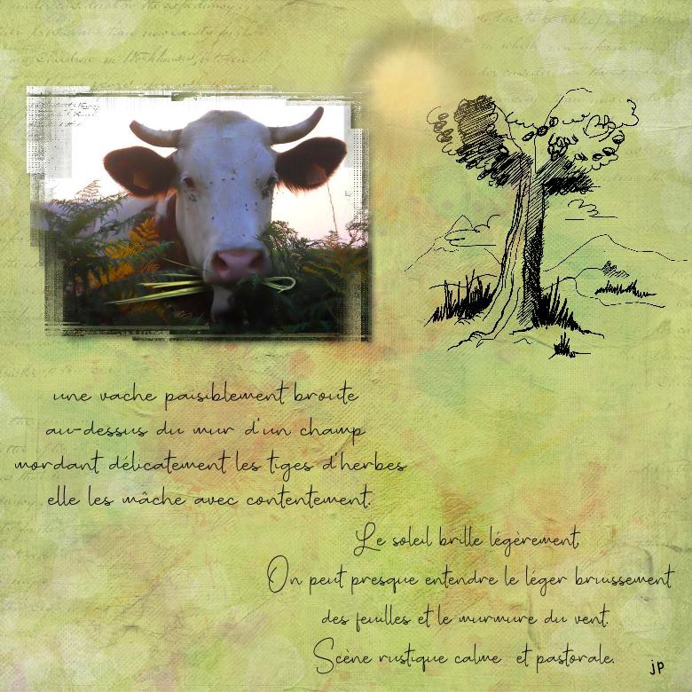 vache broutant.jpg