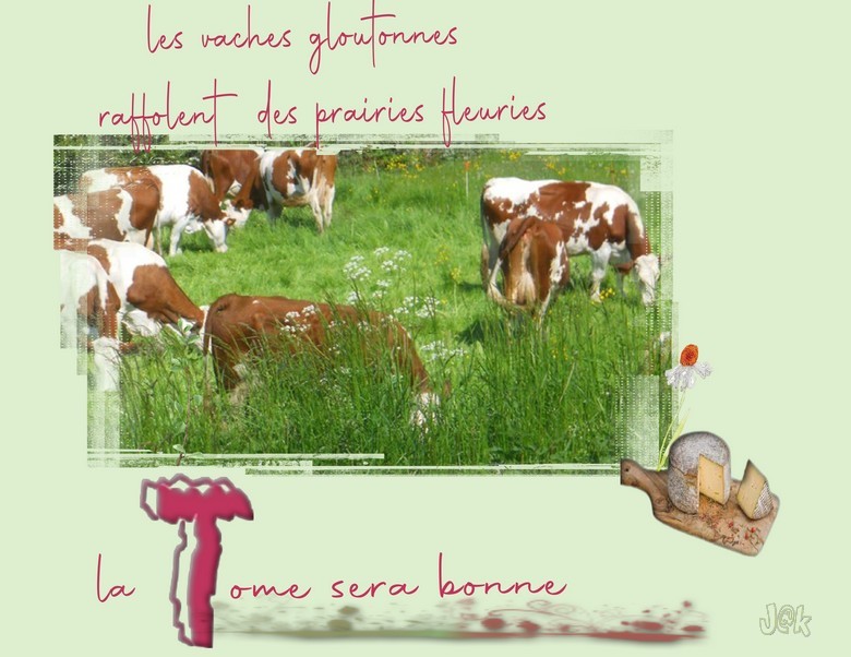 vaches gloutonnes.jpg